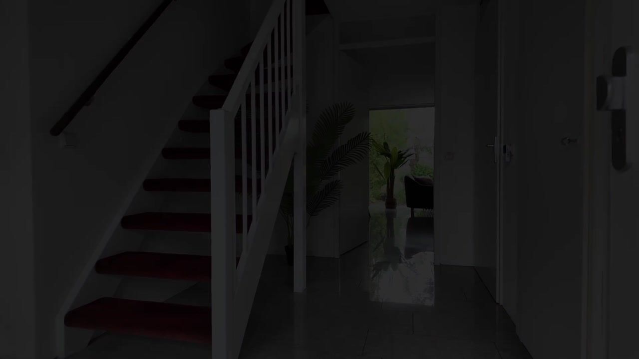 Video van Spijksterriet 8