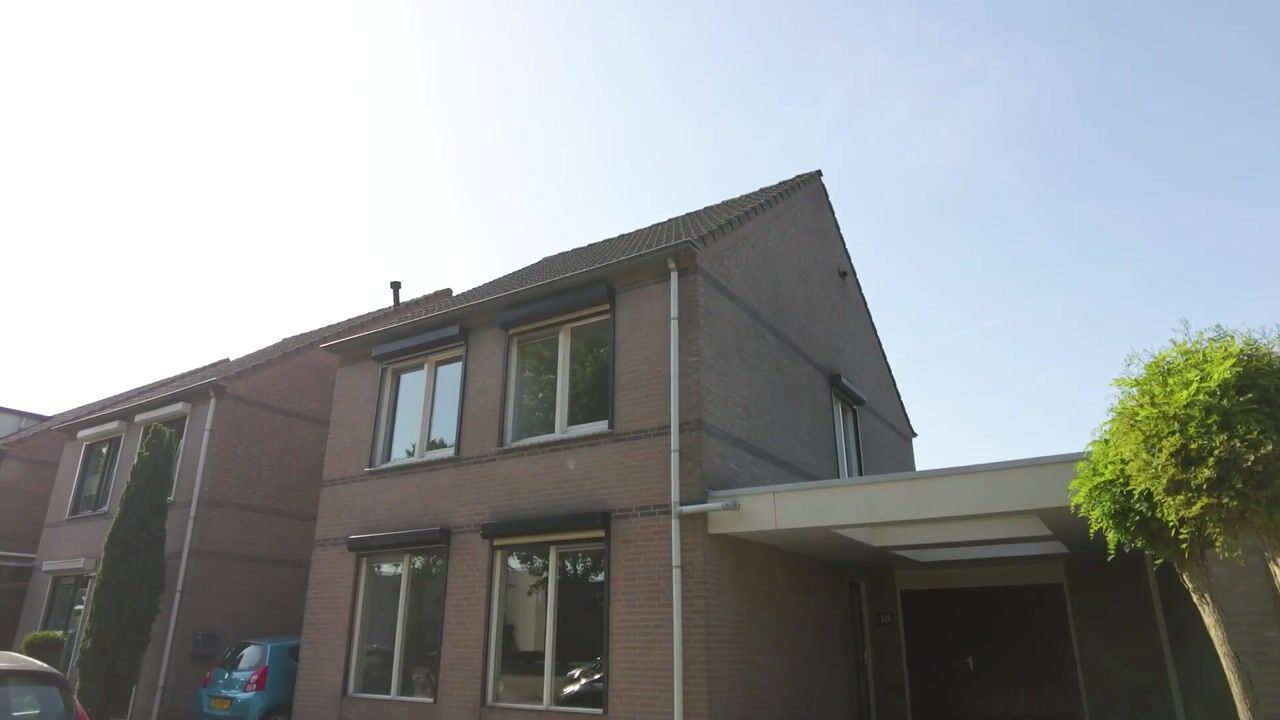 Video van Ranonkel 15