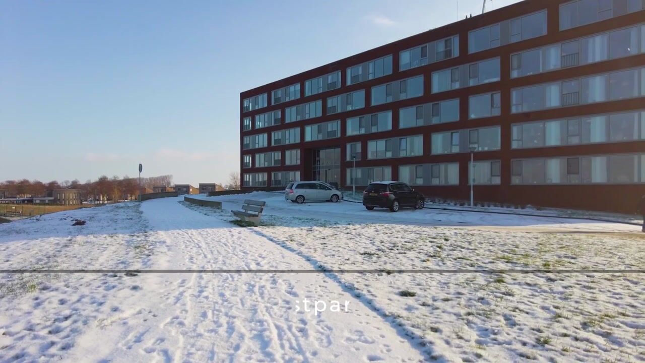 Video of Pattistpark 142