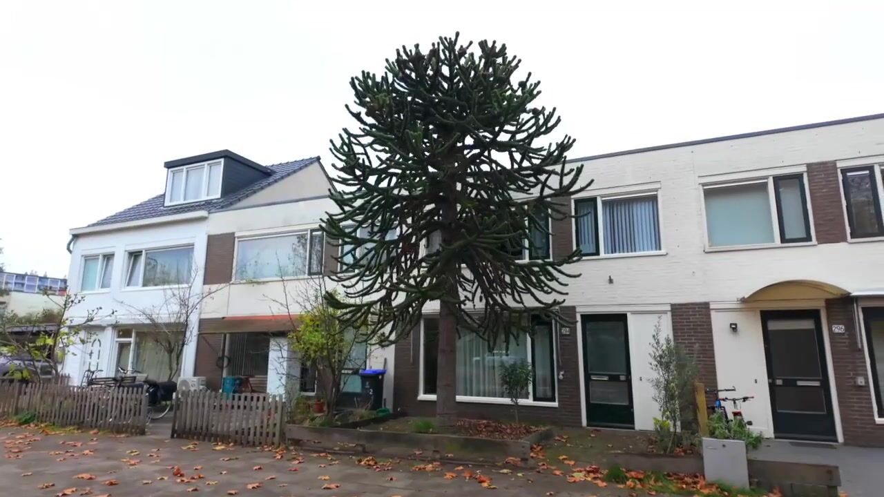 Video of Tigrisdreef 294