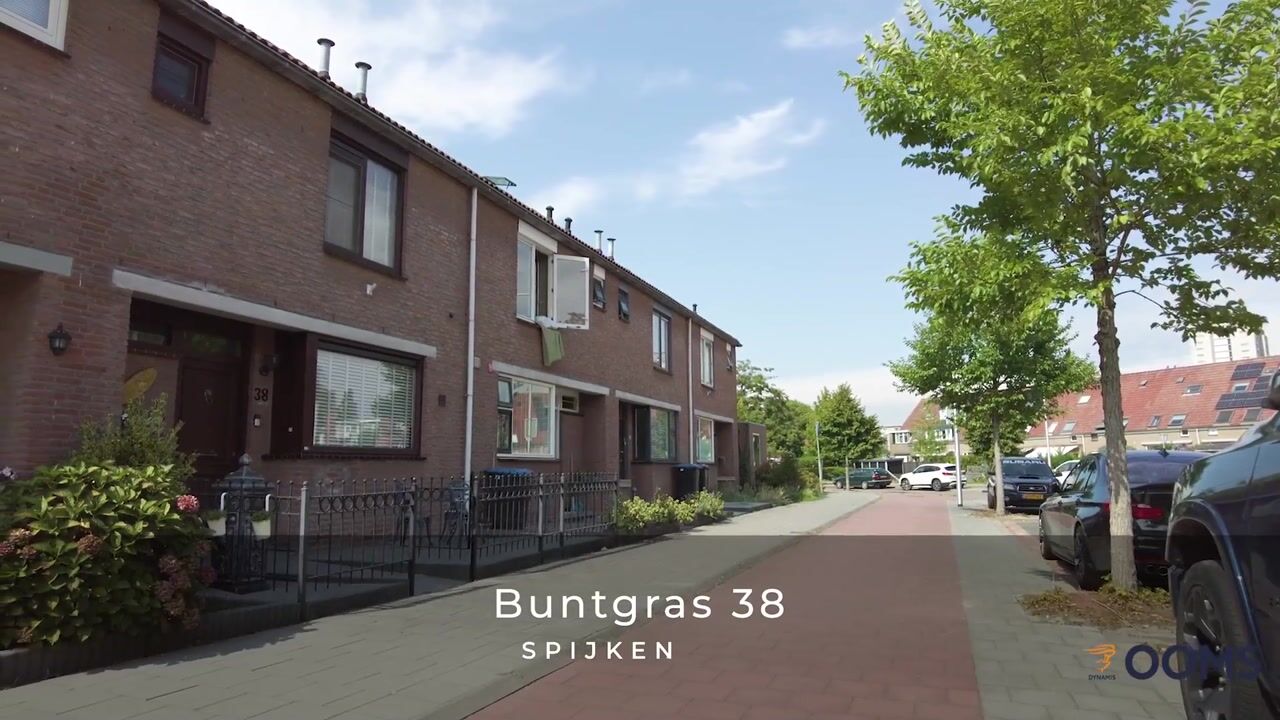 Video van Buntgras 38