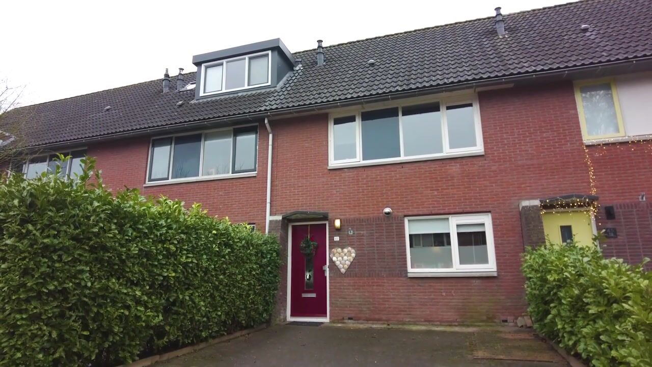 Video van Grote Beer 43