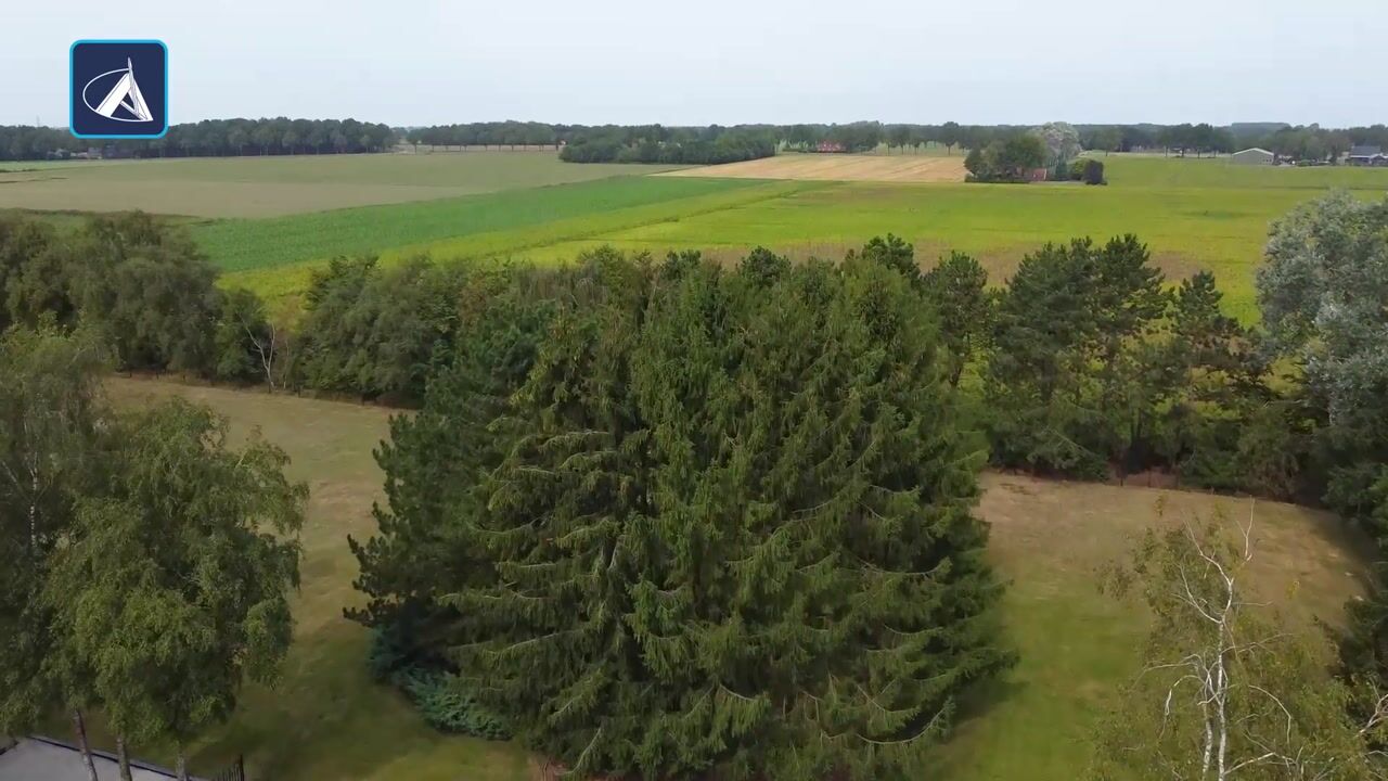 Video of Scholtweg 8