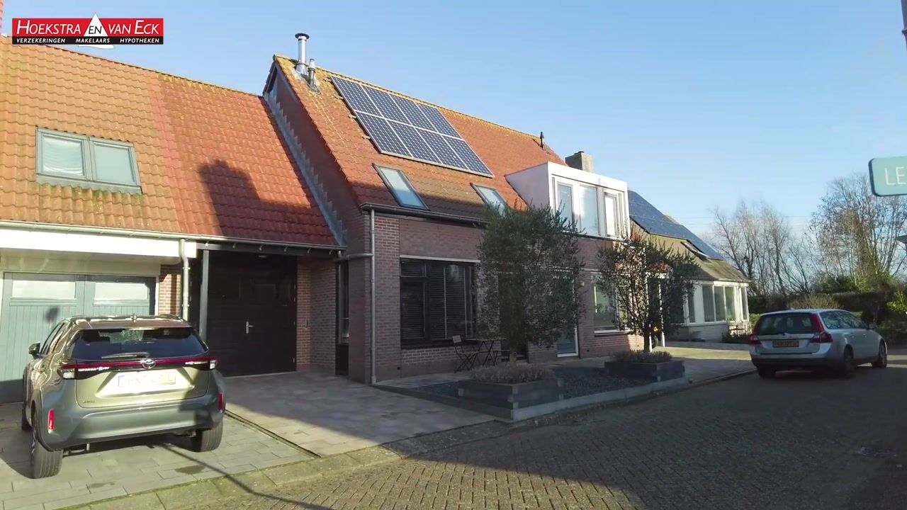 Video of Lepelblad 31