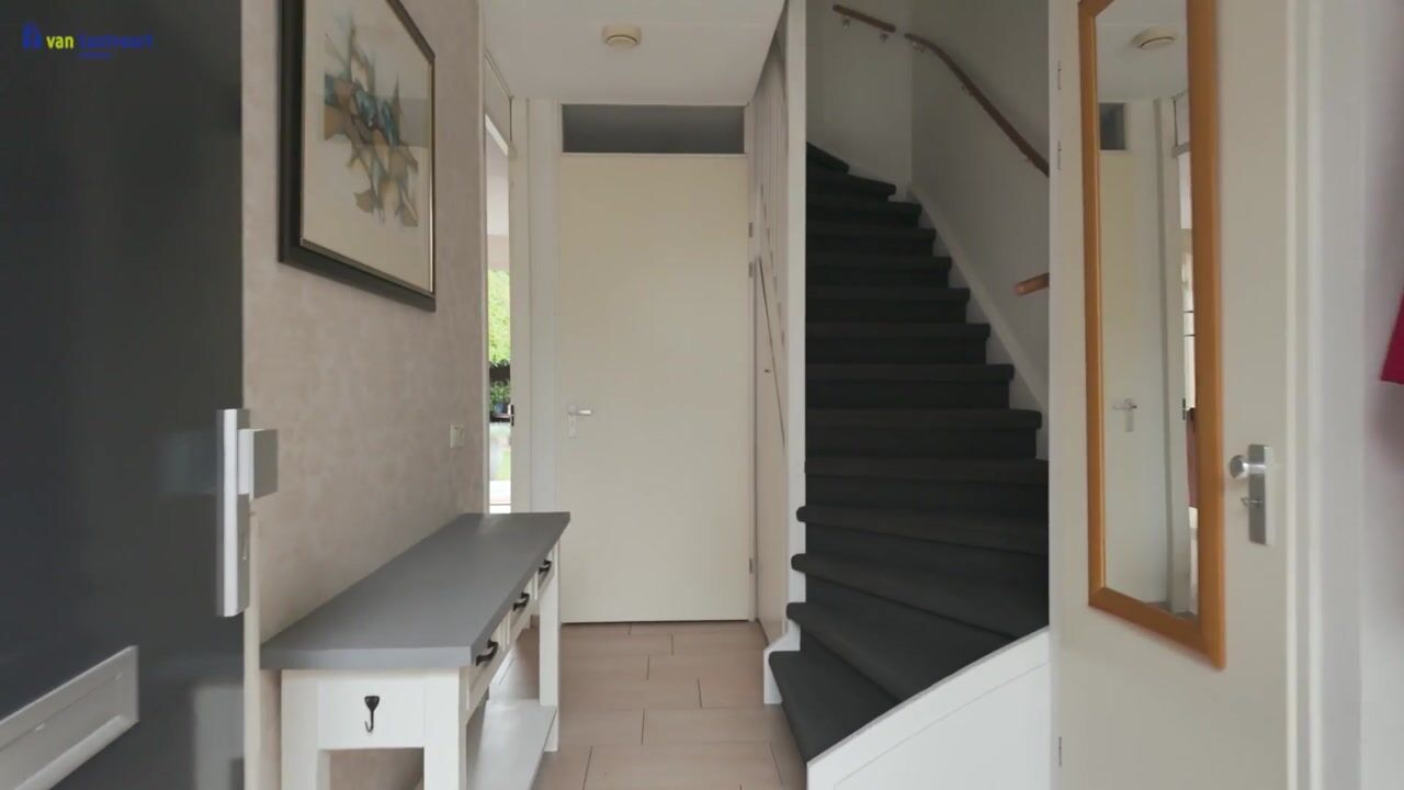 Video van Hamsterstraat 3