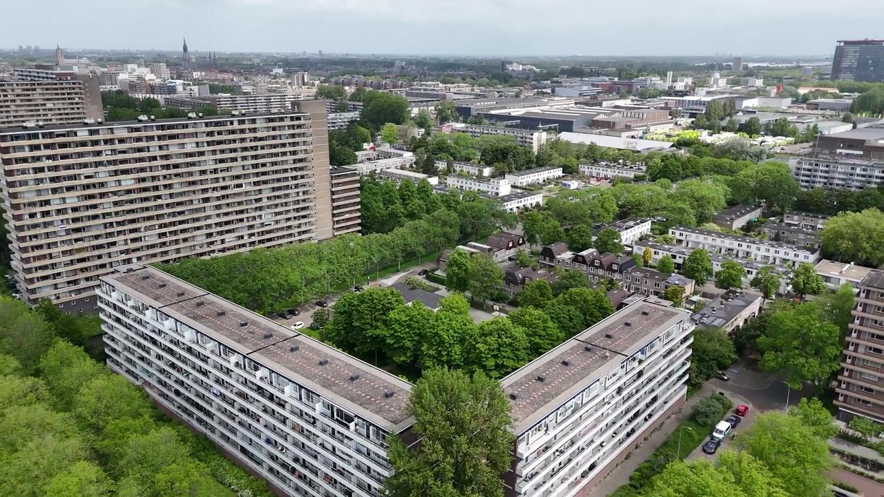 Video van Herman Gorterhof 138