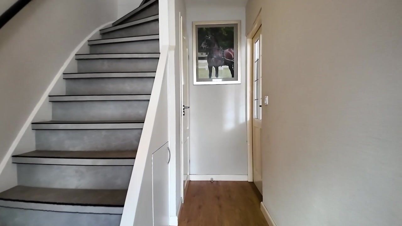 Video of Ranonkel 15