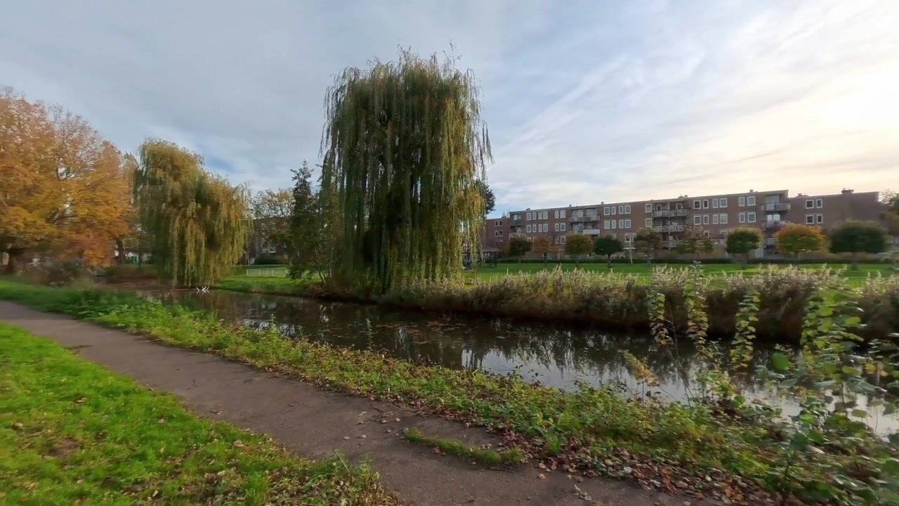 Video van Werkhovenstraat 71