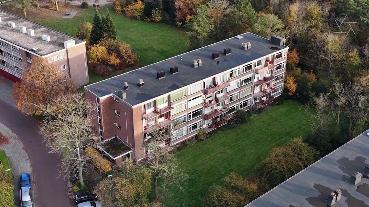 Video of Lange Heul 706