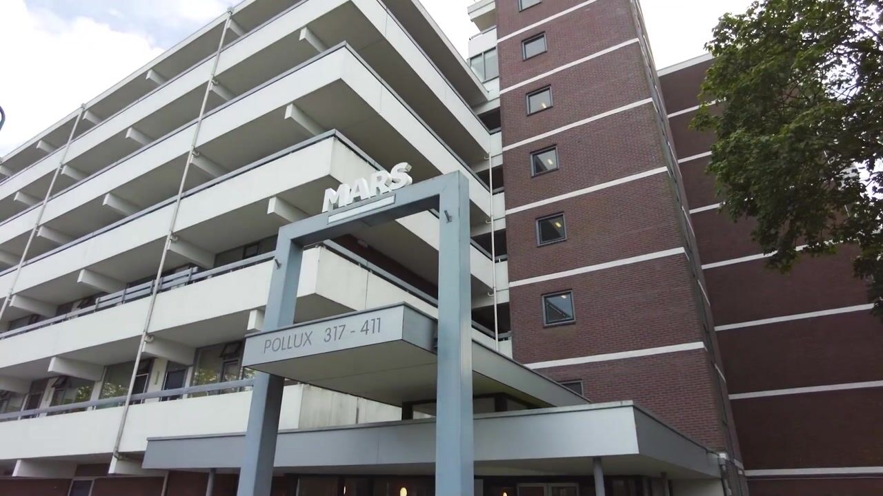 Video van Pollux 375