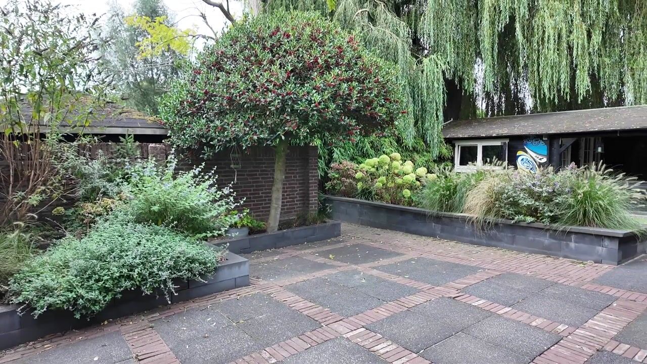 Video van Staartmolen 1