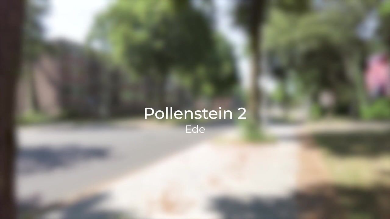 Video van Pollenstein 2