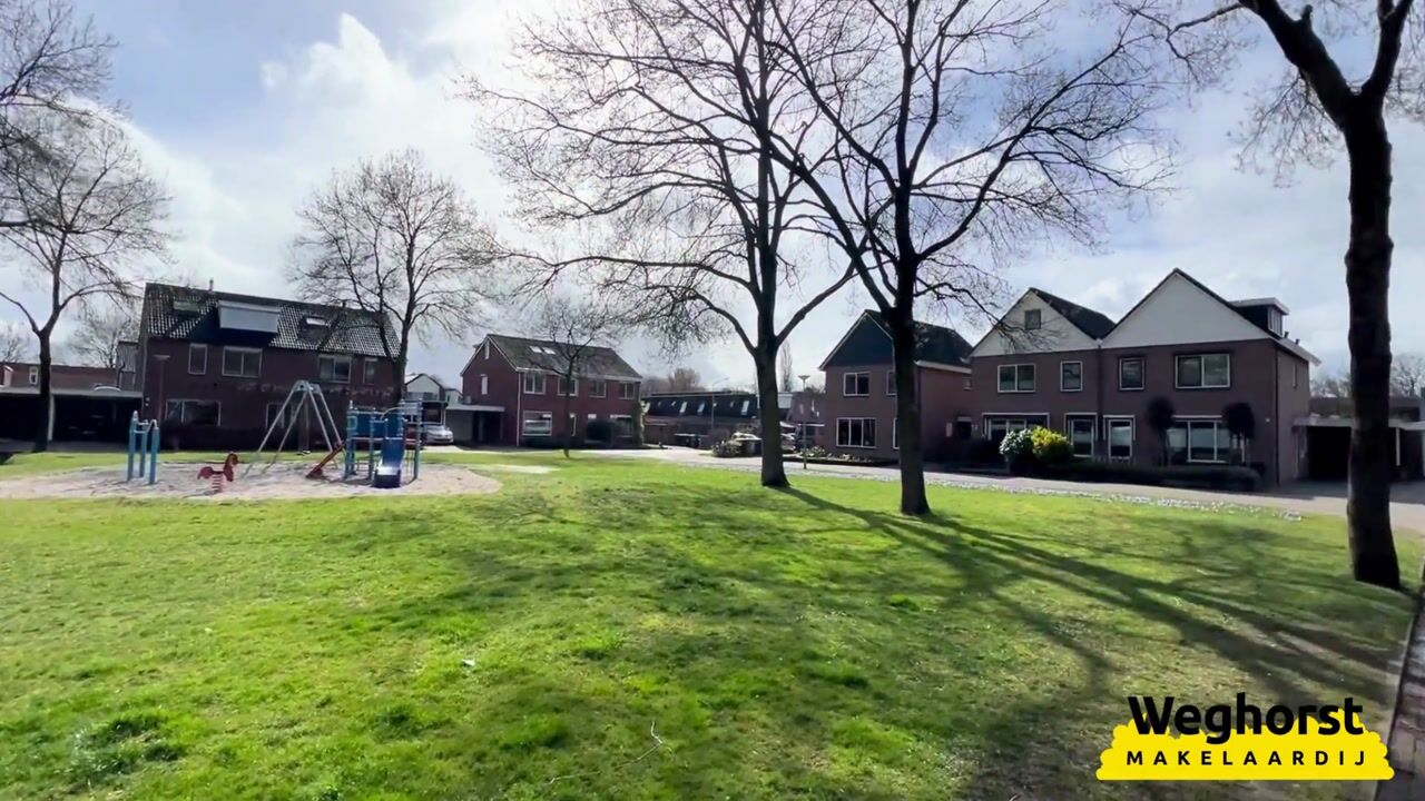 Video of De Ibis 12-A