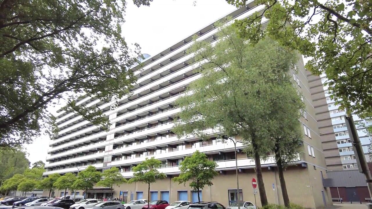 Video van Groenhof 79