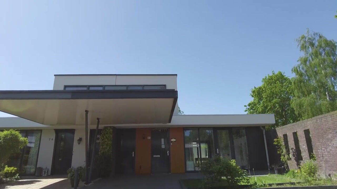 Video van Zandzegge 81