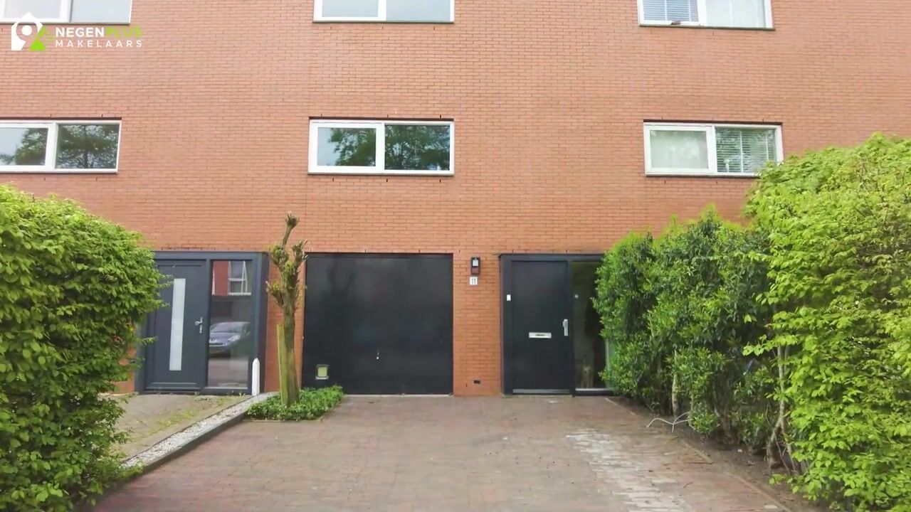 Video van Kikkerbeet 11