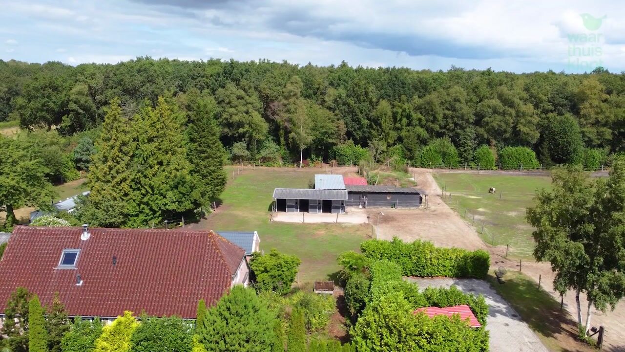 Video van Oostwijk 13