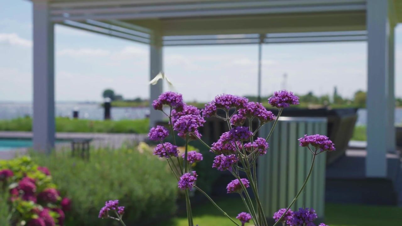 Video of Zeedijk 2-K