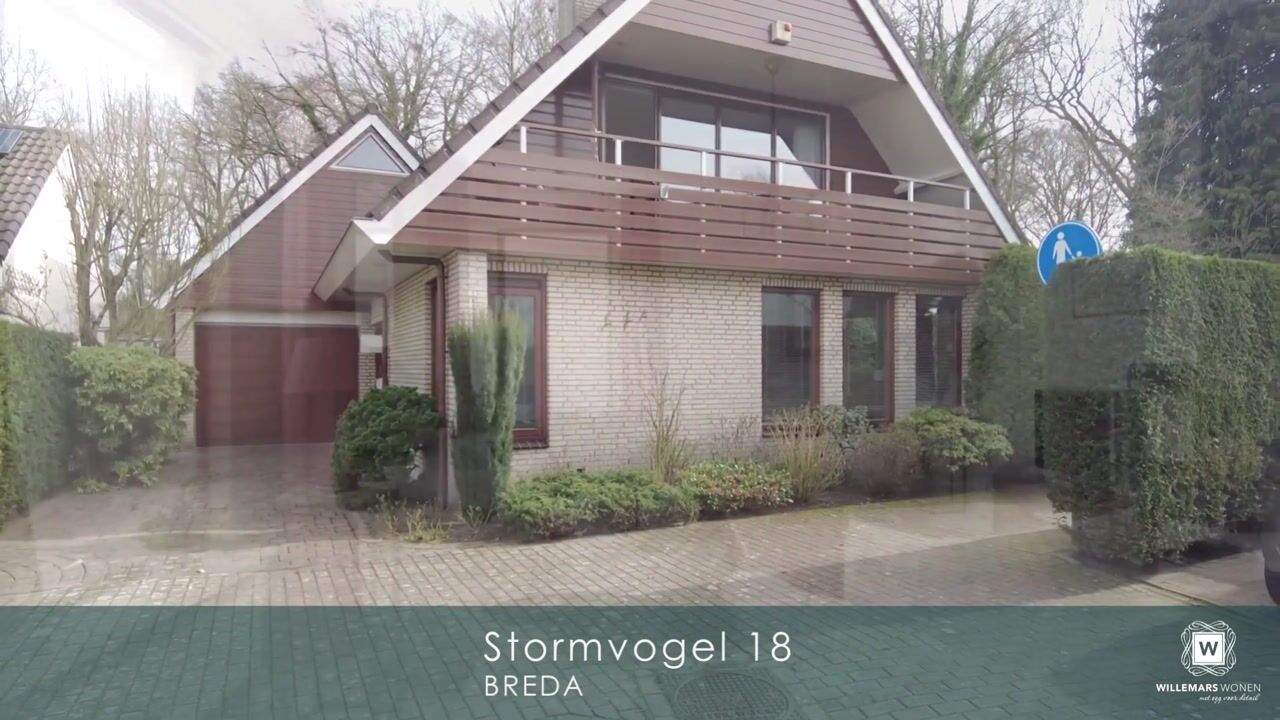 Video of Stormvogel 18