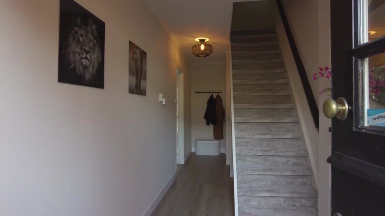 Video van Mr. P.J. Troelstrastraat 100