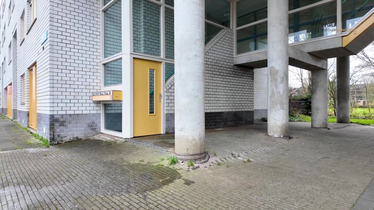 Video van Gitaarstraat 81