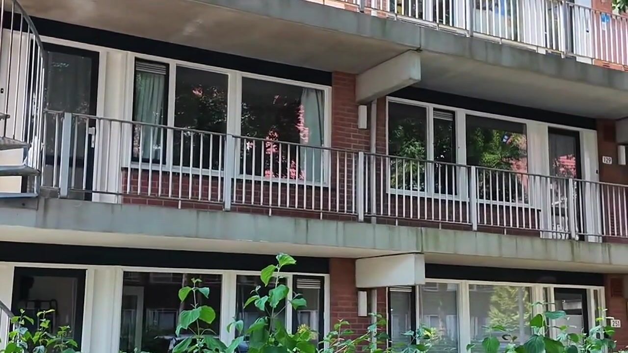 Video van Hondsrug 129