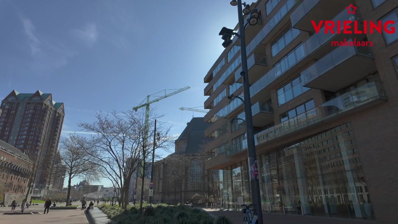 Video of Binnenrotte 271