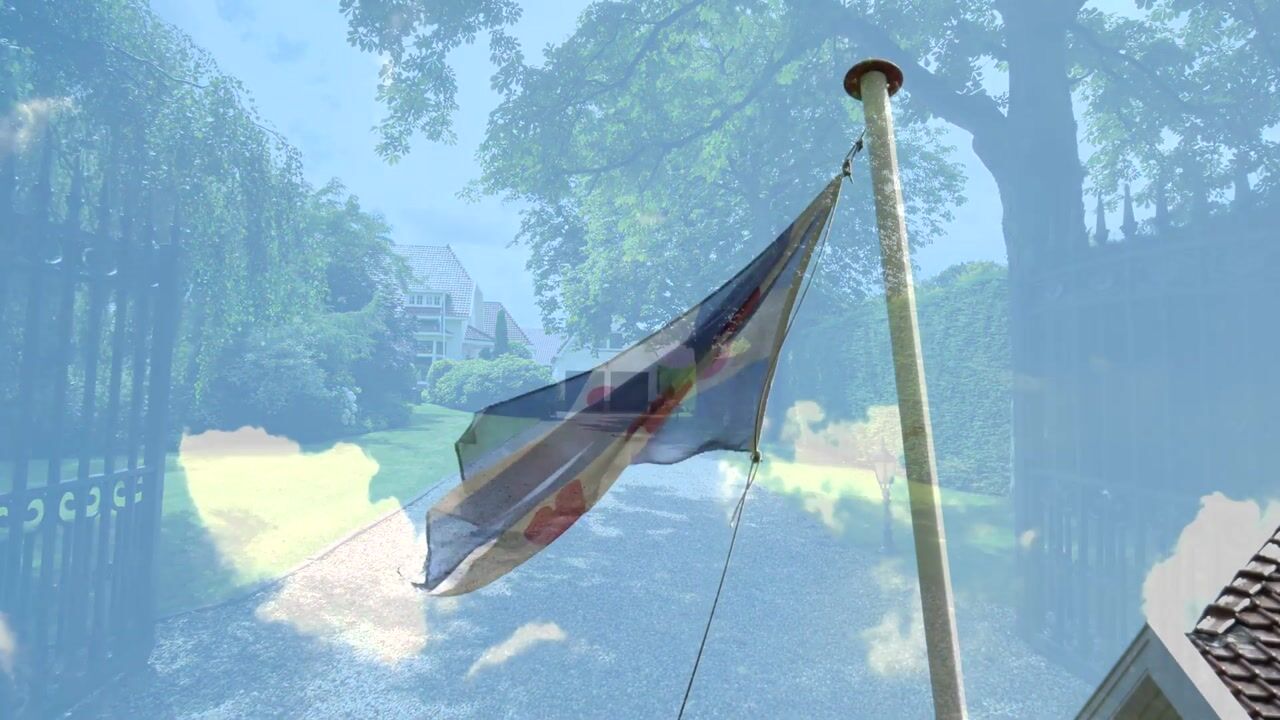 Video van Wikelerdyk 16