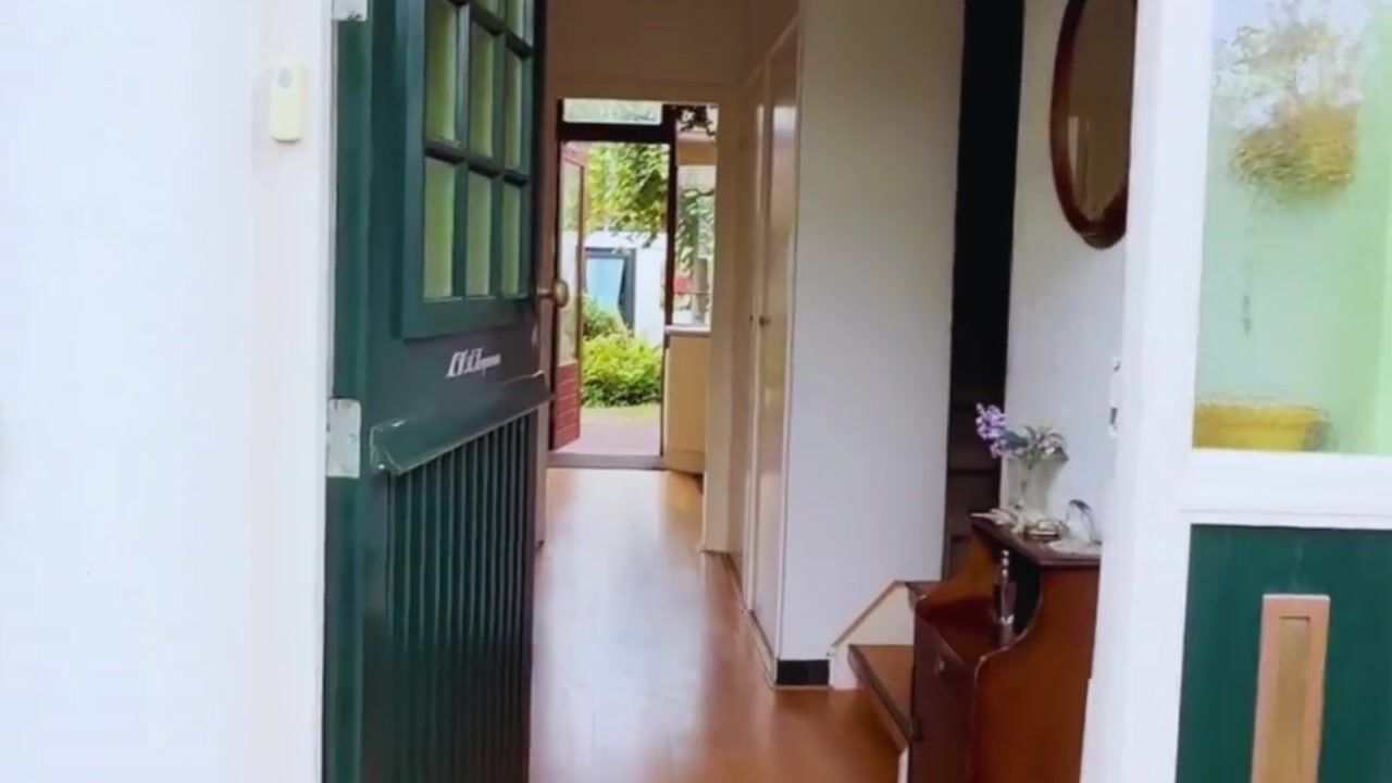 Video van Tulpenlaan 40