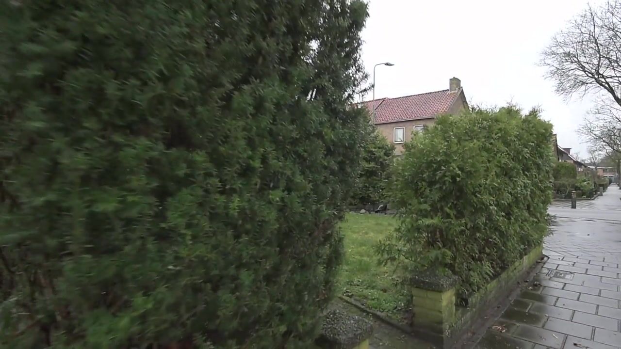 Video van De Wittenhagen 22