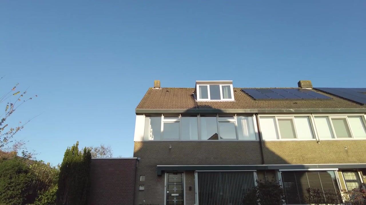 Video van Weegbree 141