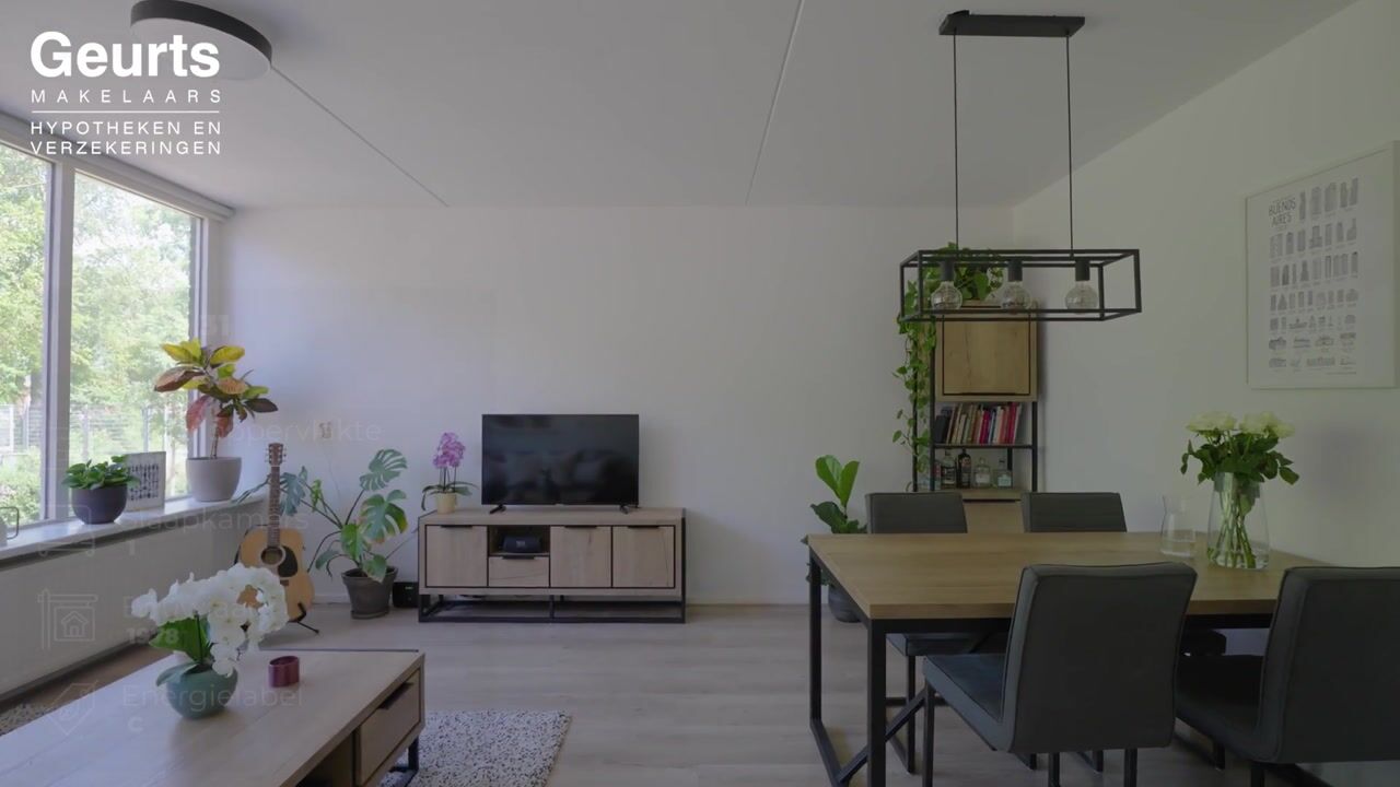 Video van Pallas 31