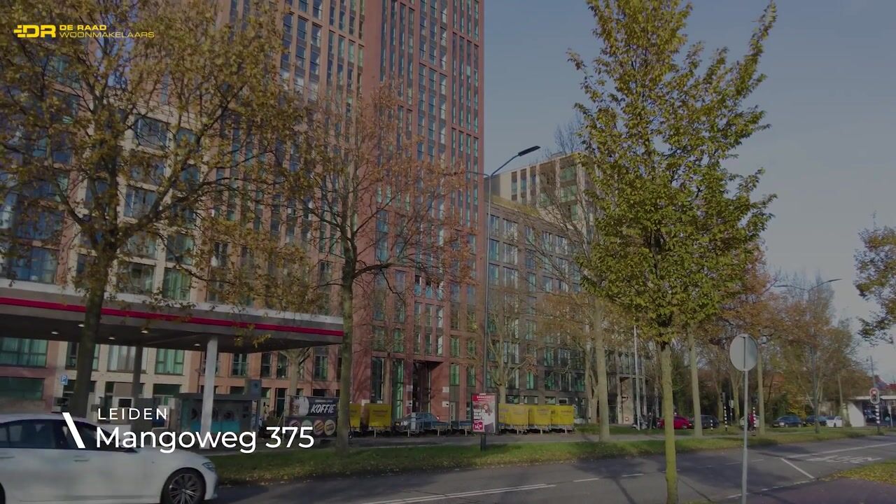 Video van Mangoweg 375