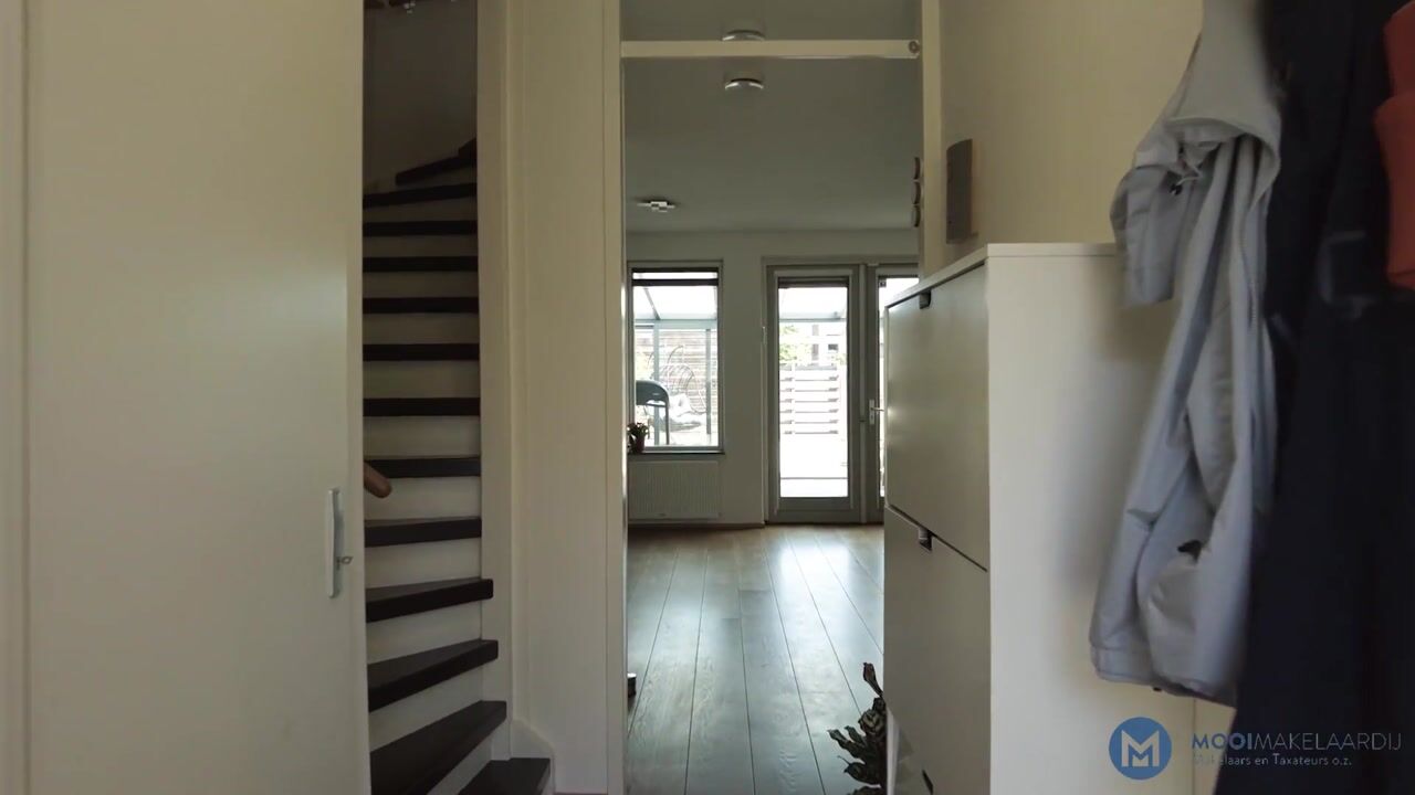 Video van Mol 12