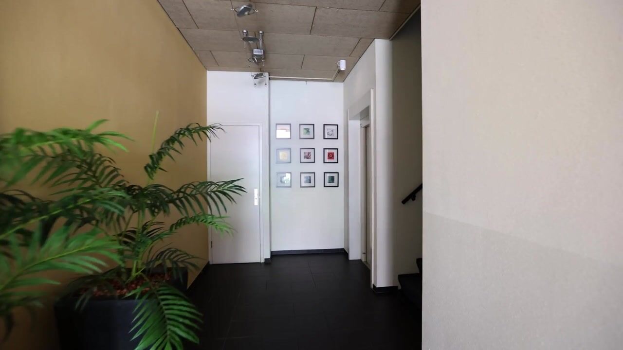 Video van Noordplein 14