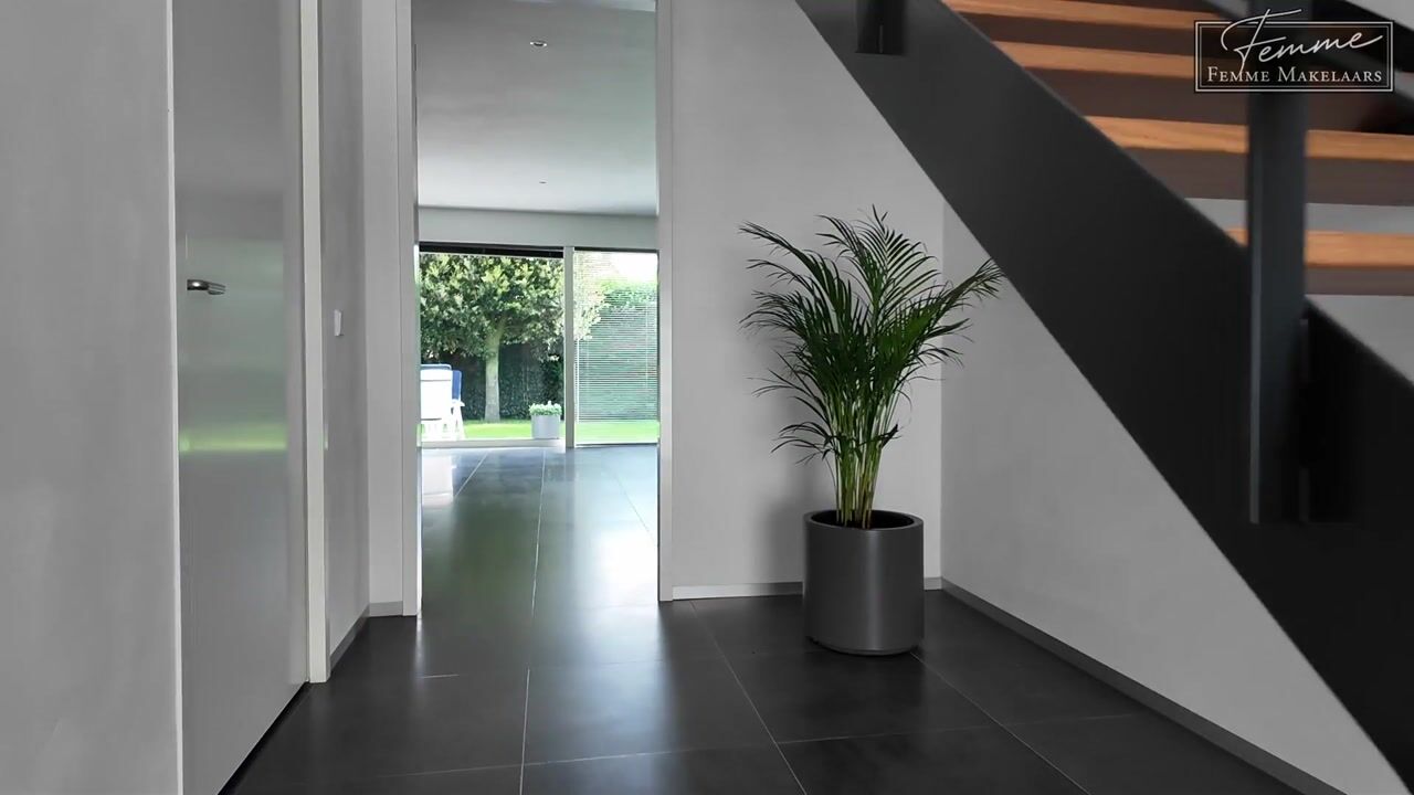 Video van Spaaklaan 14