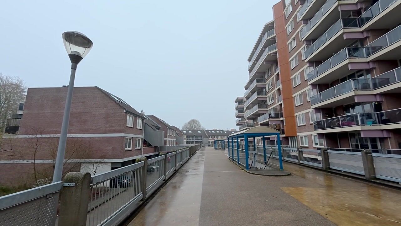 Video van Prattenburg 399