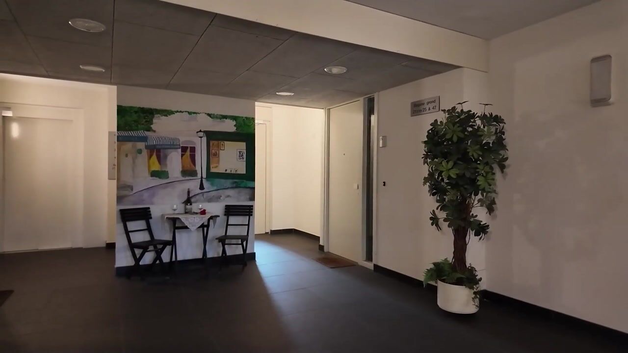 Video of Suytboulevard 35