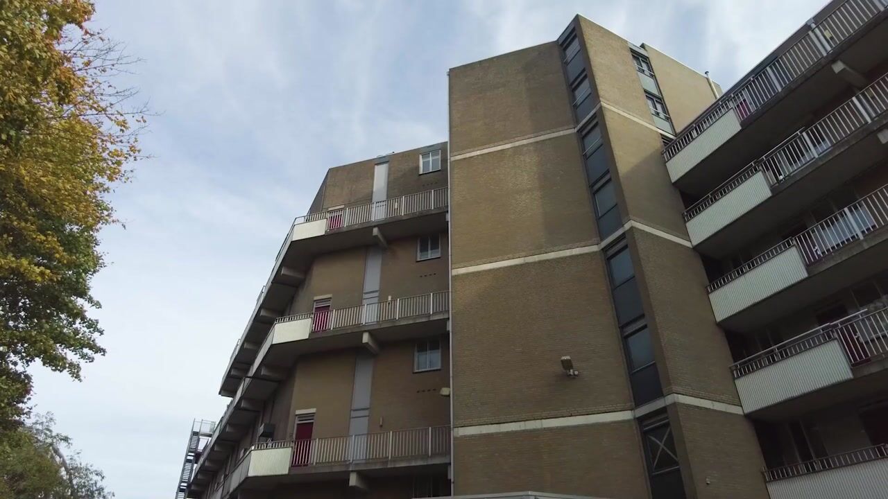 Video van Veemarkt 225