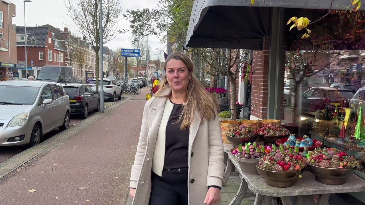 Bekijk video van Pieter Kiesstraat 59-A