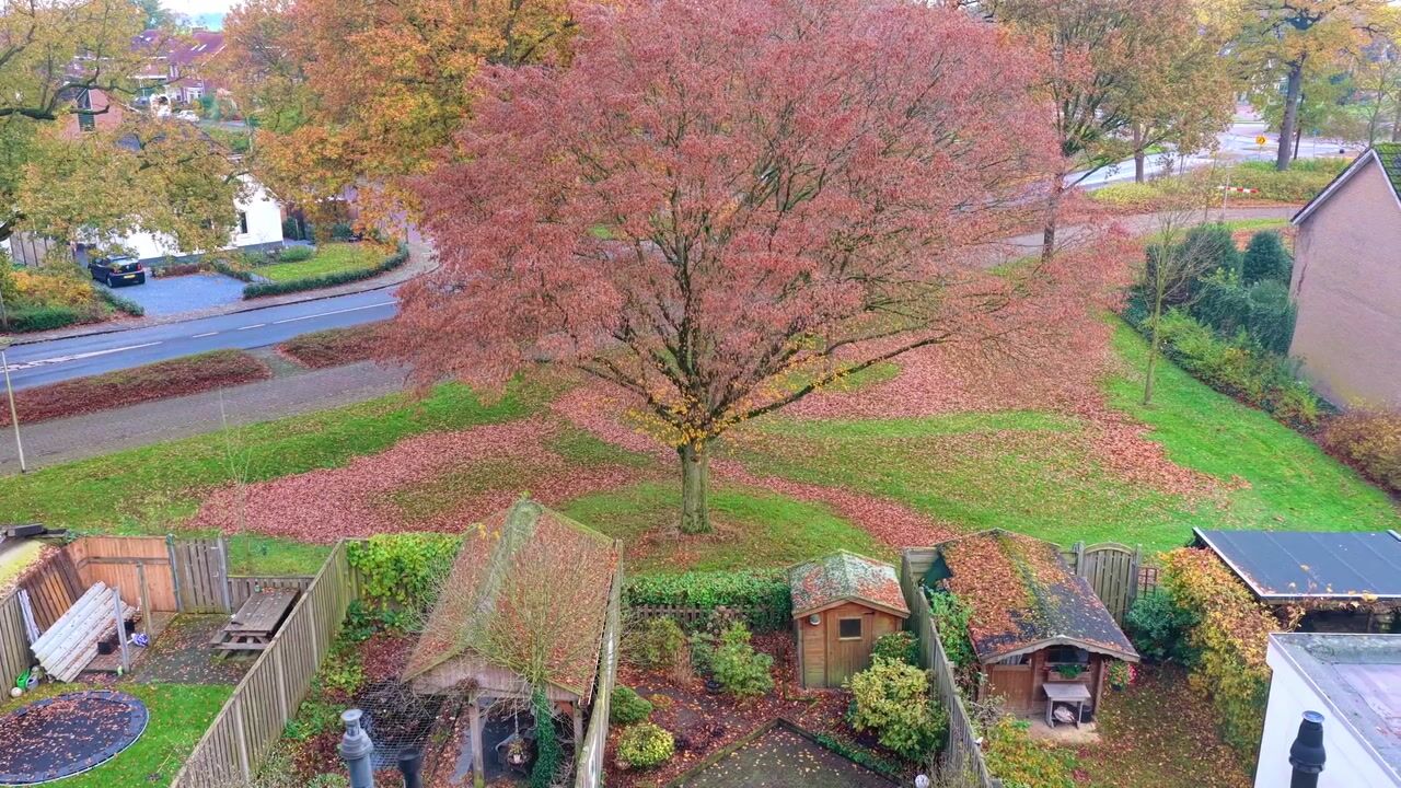 Video of Kenemansstraat 8