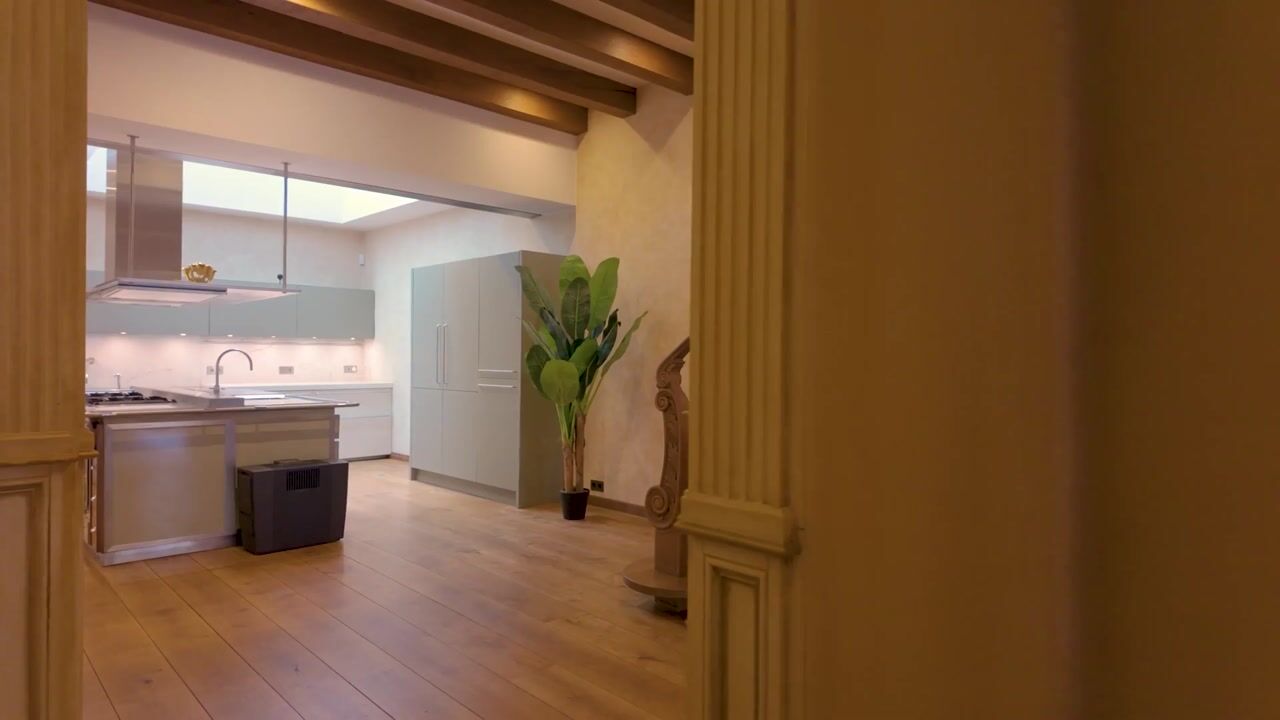 Video van Herengracht 291
