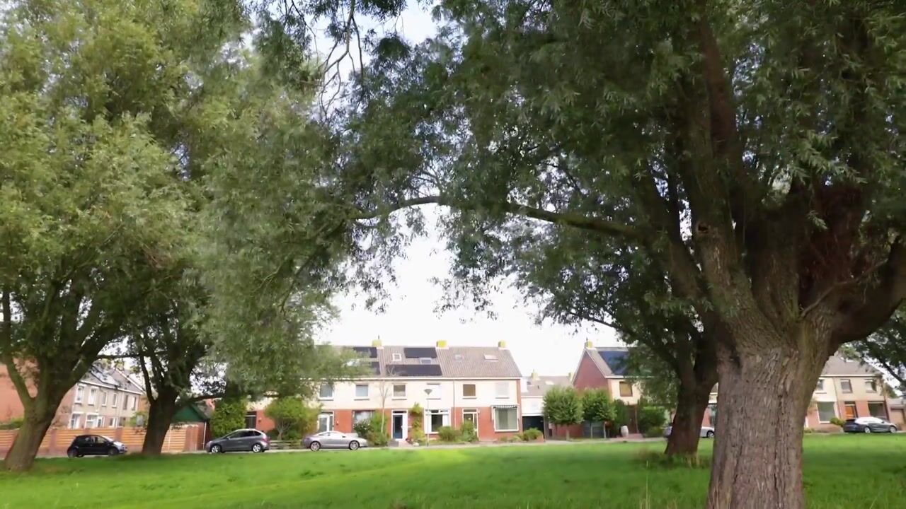 Video van Jan Peereboomstraat 7