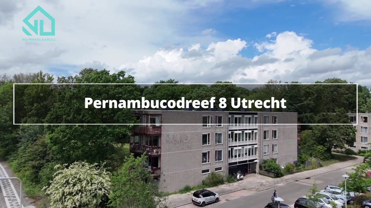 Video van Pernambucodreef 8