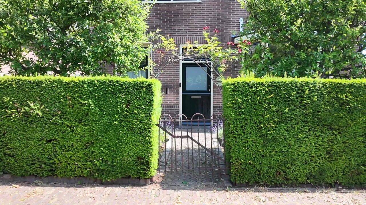 Video van Molenberg 10