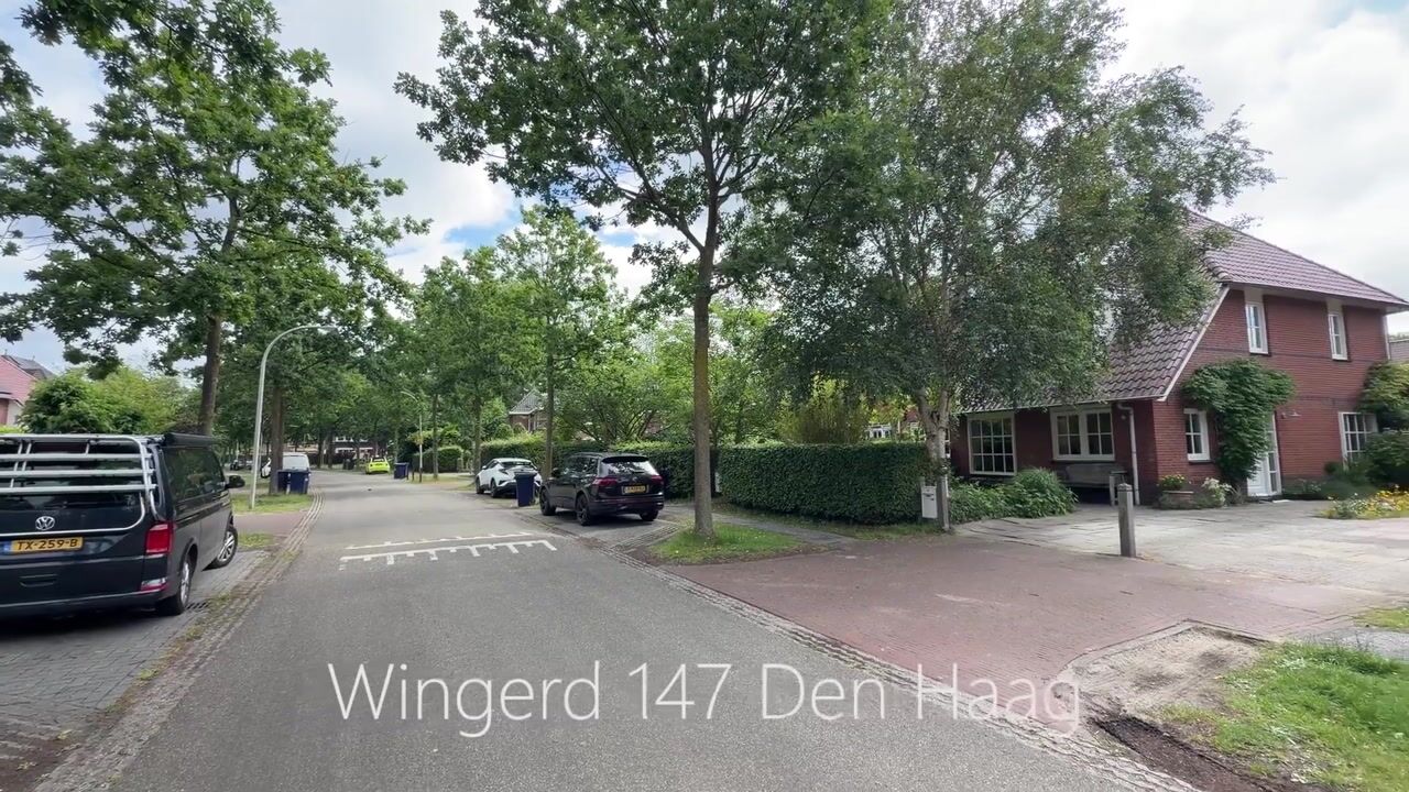 Video of Wingerd 147