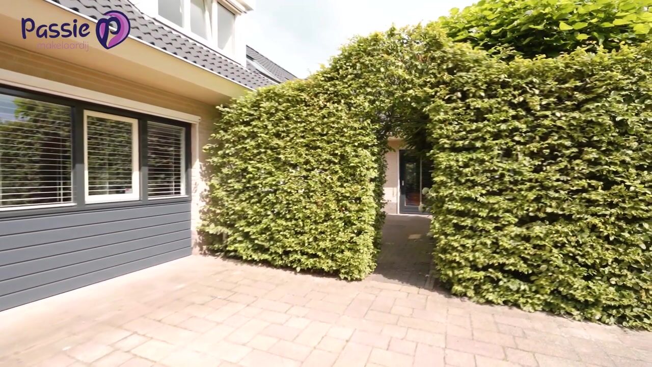 Video of Teeuwserf 42