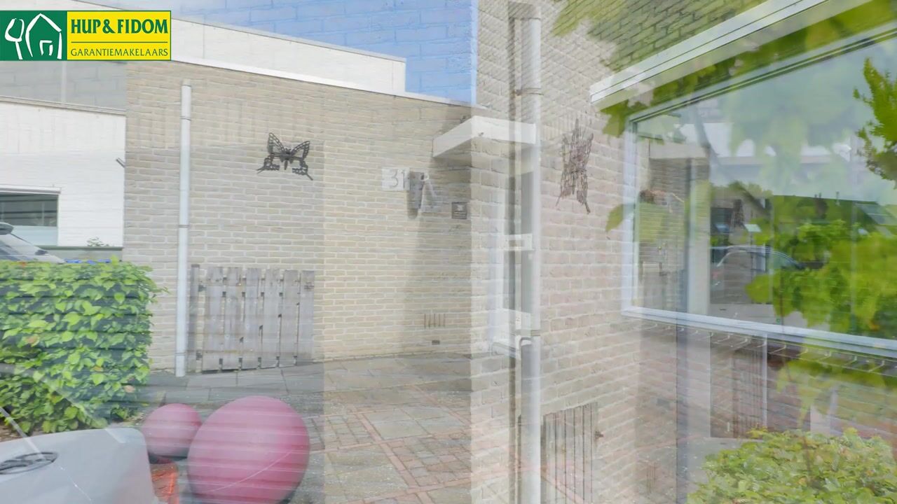 Video van Meerkoet 31