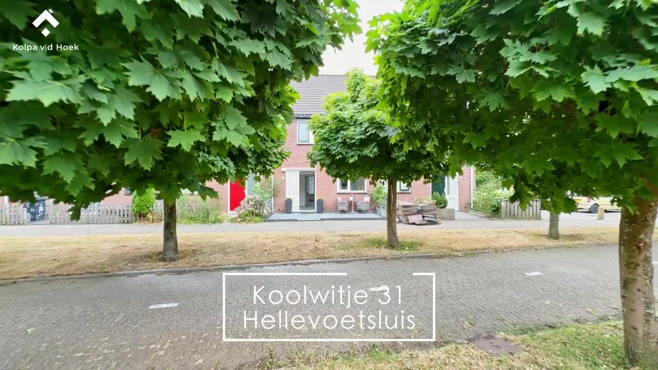 Video van Koolwitje 31