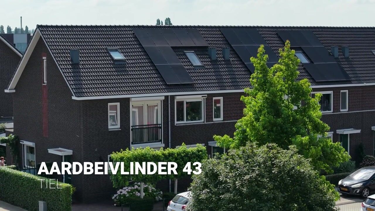 Video van Aardbeivlinder 43